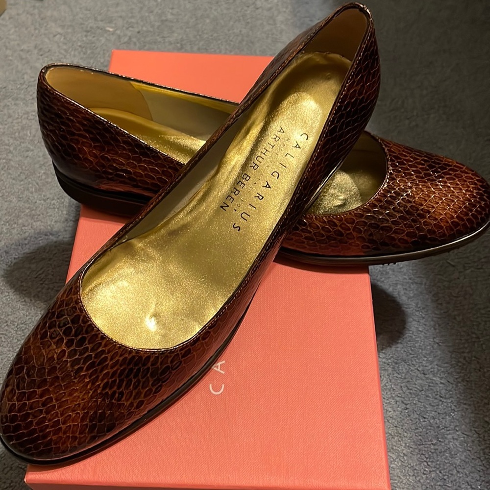 Caligarius brown cobra print women shoes. 8.5 B. These shoes are narrow. New